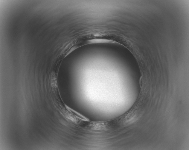 X0000059800384200510241335