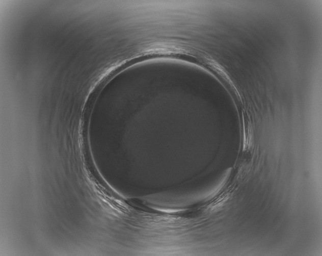 X0000059800387200510241335