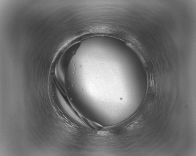 X0000059800388200510241335