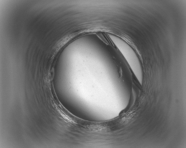 X0000059800389200510241335