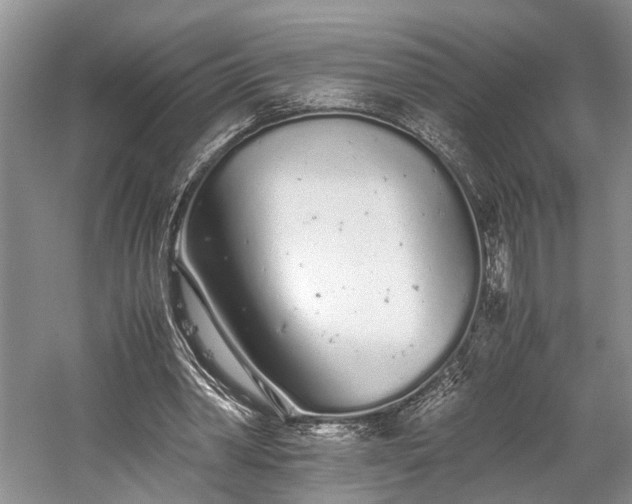 X0000059800390200510241335