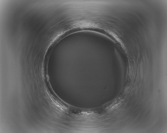 X0000059800391200510241335