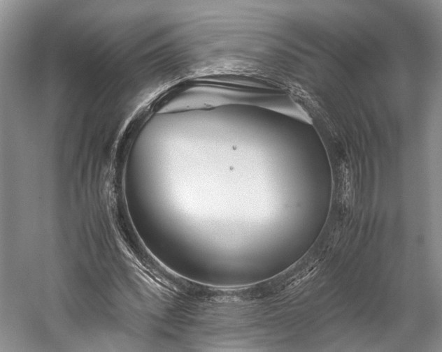 X0000059800392200510241334