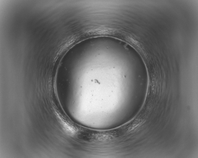 X0000059800394200510241334