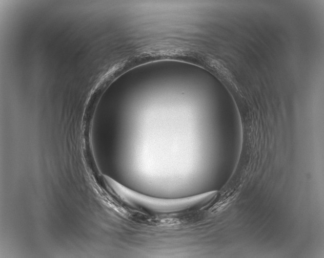 X0000059800395200510241334