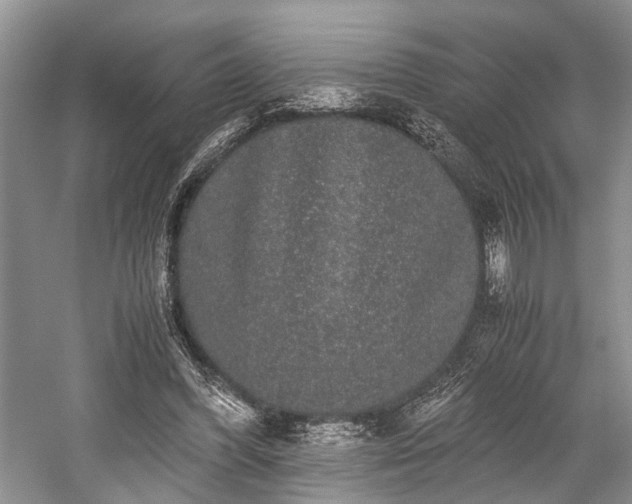 X0000059800396200510241334