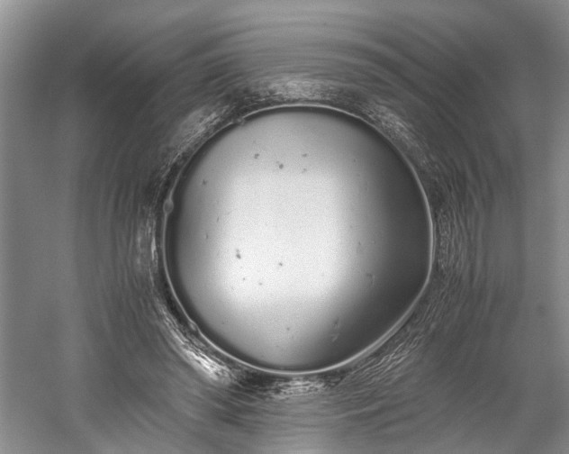 X0000059800398200510241334