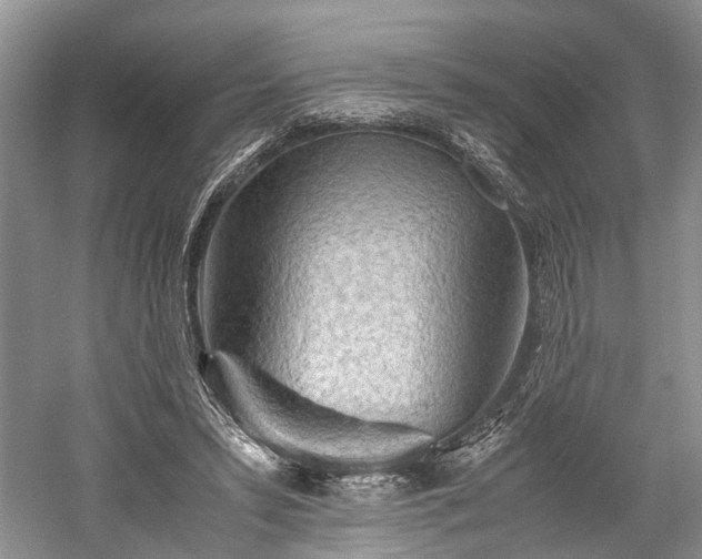 X0000059800399200510241334