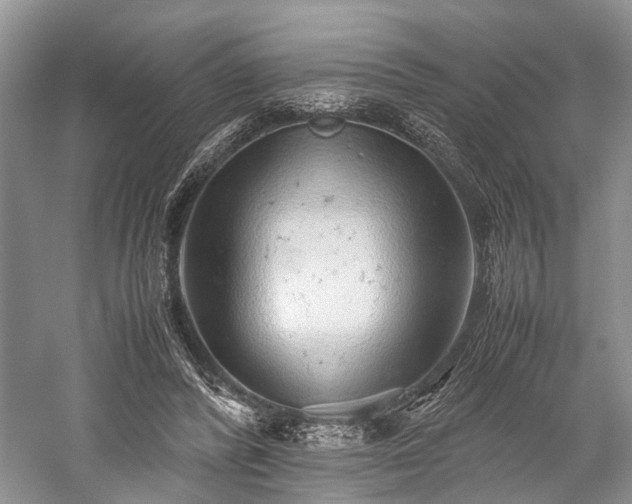 X0000059800400200510241334