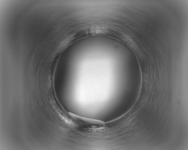 X0000059800401200510241334