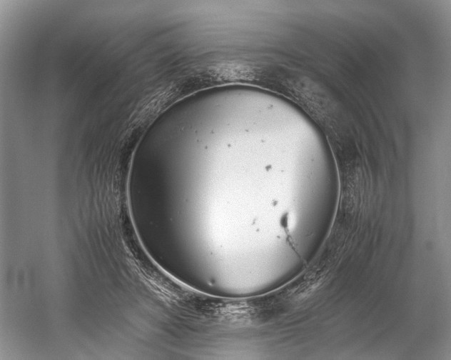 X0000059800402200510241334