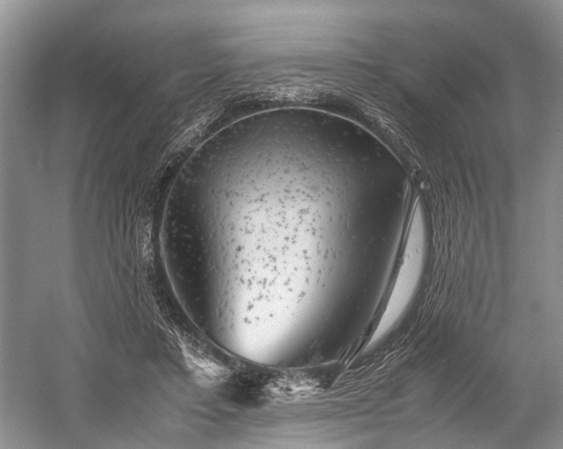 X0000059800403200510241334