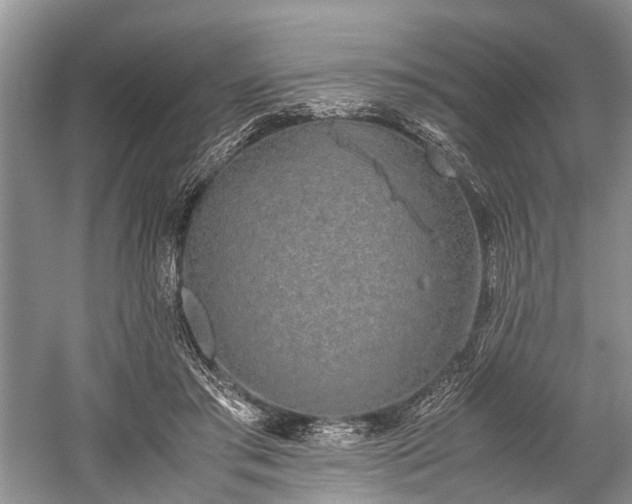 X0000059800405200510241334