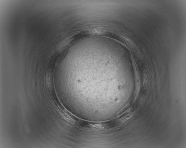 X0000059800409200510241334