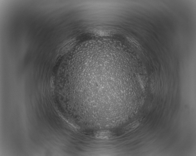 X0000059800410200510241334