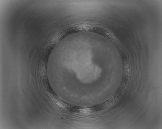 X0000059800411200510241334