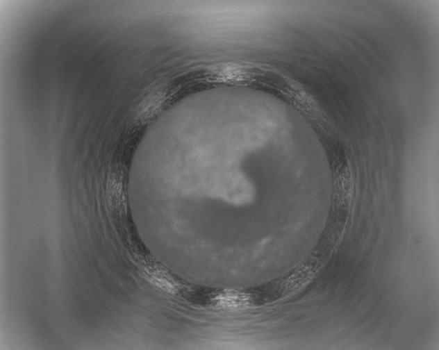 X0000059800415200510241334