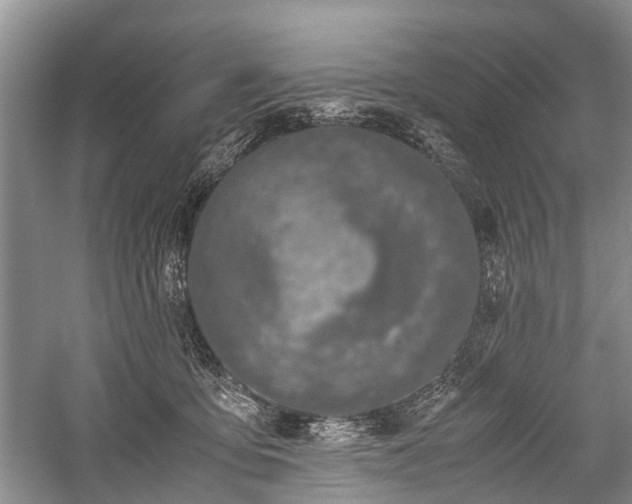 X0000059800419200510241334