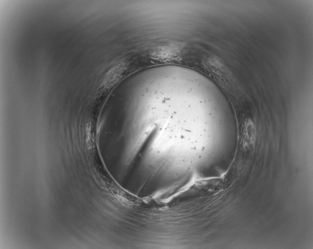 X0000059800420200510241334