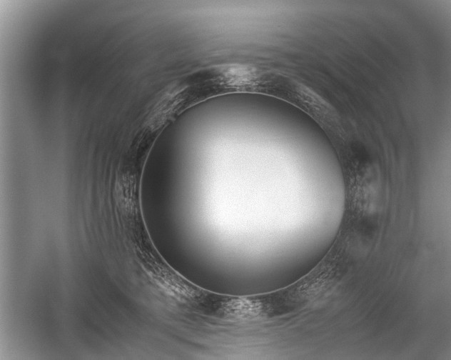 X0000059800421200510241334