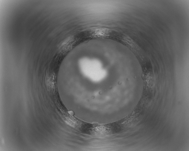 X0000059800423200510241334