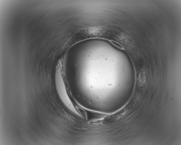 X0000059800424200510241334