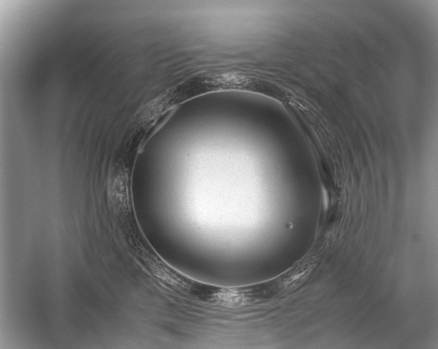 X0000059800425200510241334