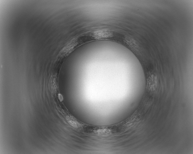 X0000059800426200510241334