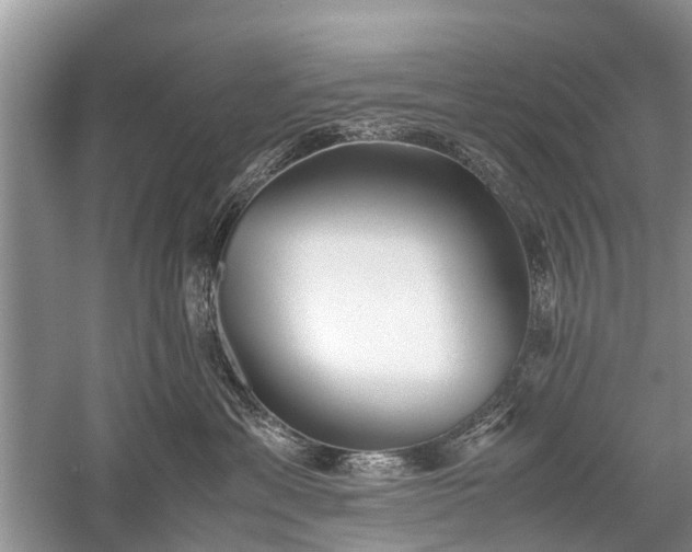 X0000059800429200510241334