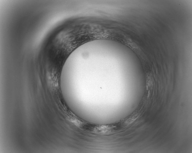 X0000059800431200510241334