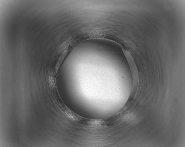 X0000059800432200510241334