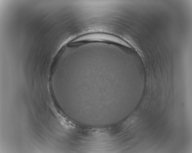 X0000059800434200510241333