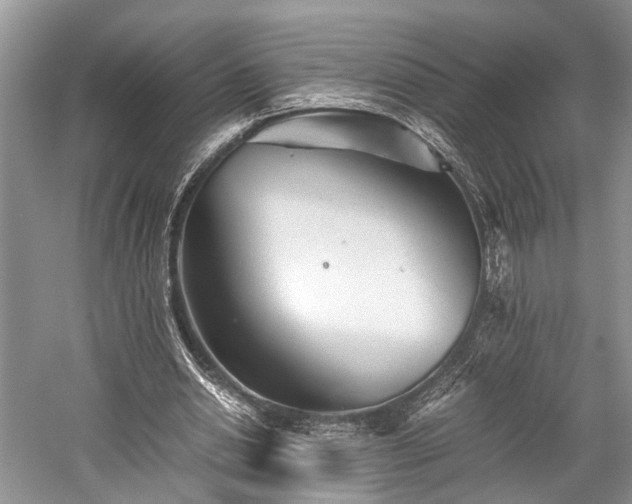 X0000059800438200510241333