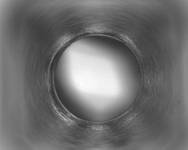 X0000059800439200510241333