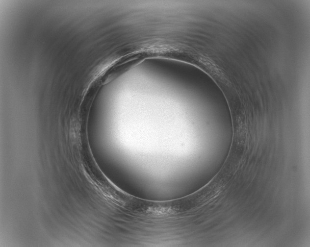 X0000059800440200510241333