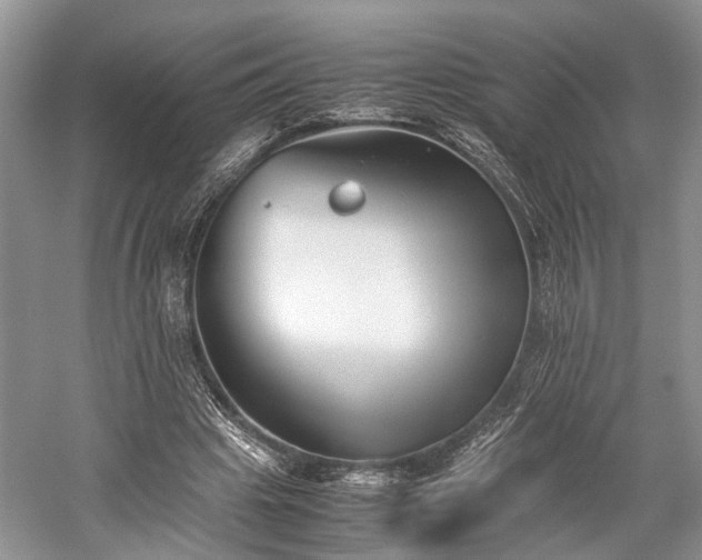 X0000059800441200510241333