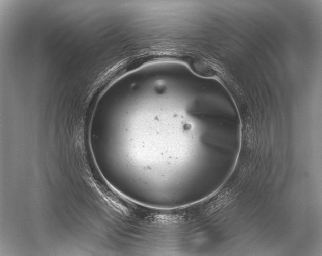 X0000059800442200510241333