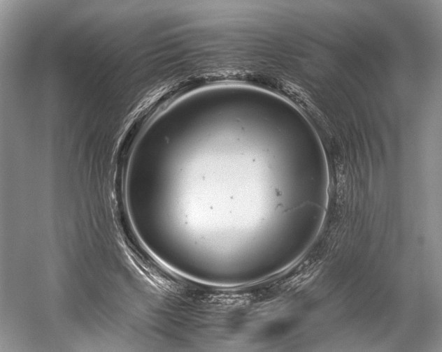 X0000059800443200510241333