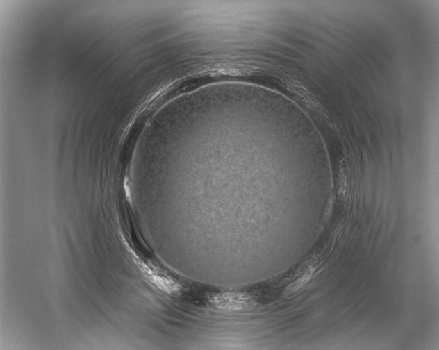 X0000059800444200510241333