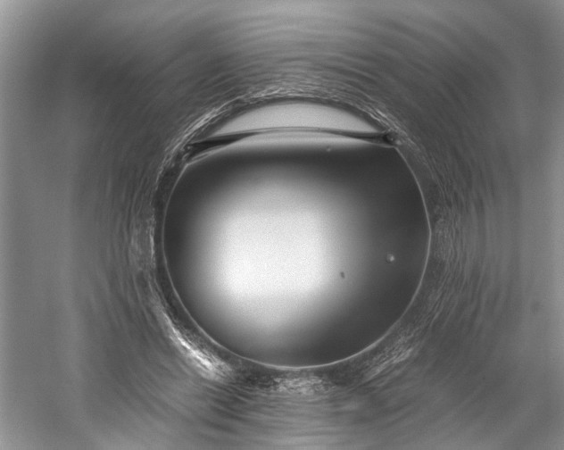 X0000059800446200510241333