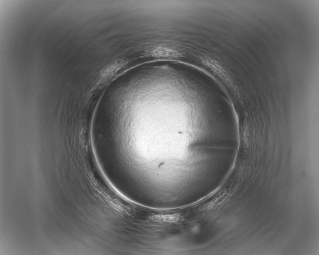 X0000059800449200510241333