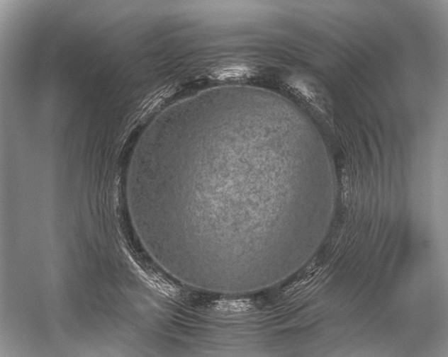 X0000059800451200510241333