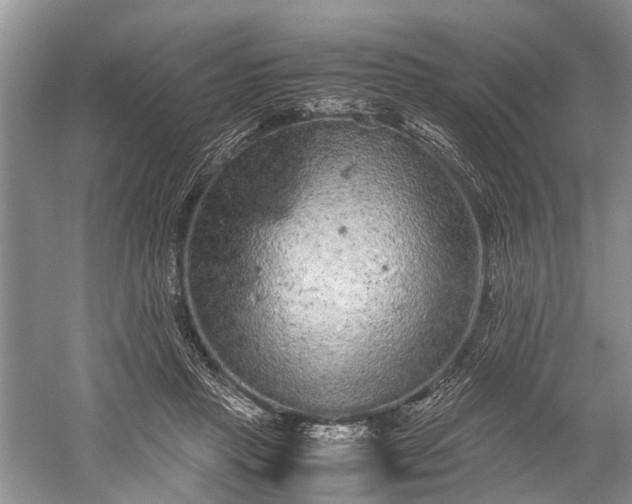 X0000059800453200510241333