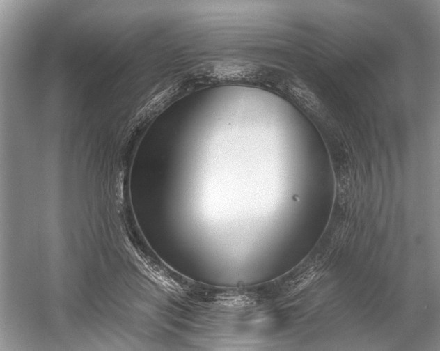 X0000059800454200510241333