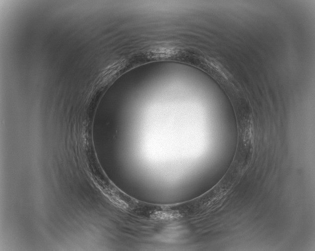 X0000059800455200510241333