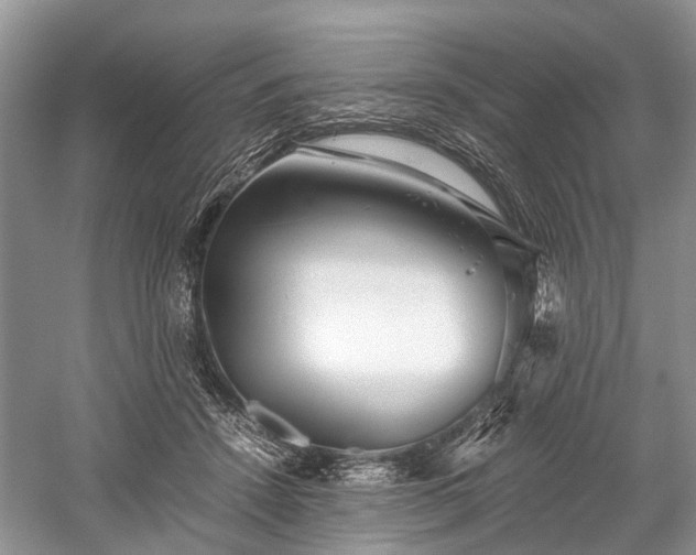 X0000059800456200510241333