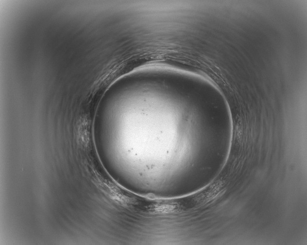 X0000059800462200510241333