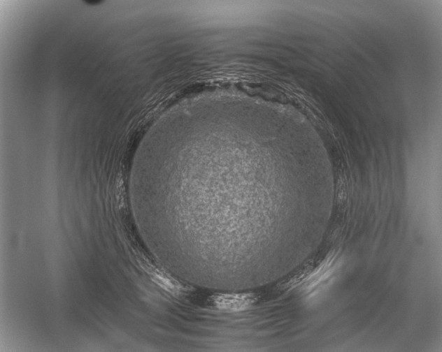 X0000059800465200510241334