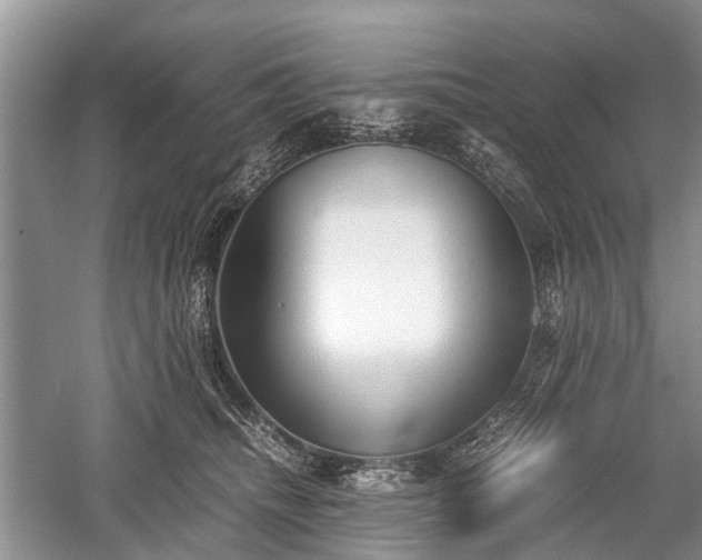 X0000059800468200510241334