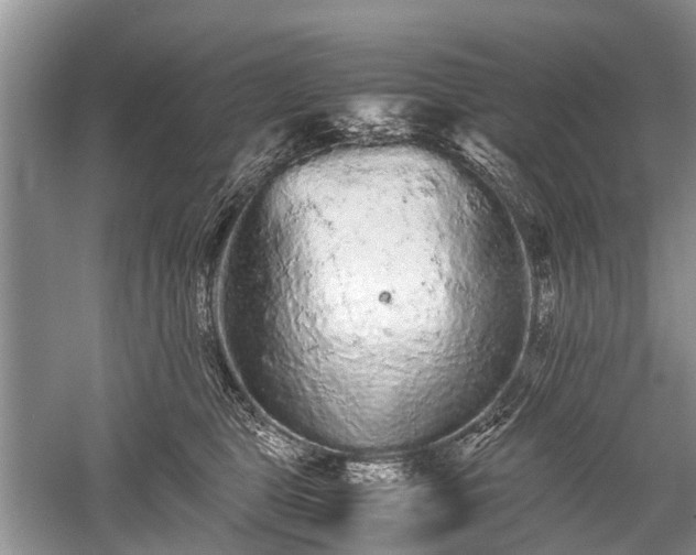 X0000059800469200510241334